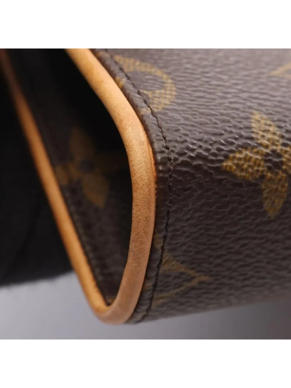 Louis Vuitton Waist Bag Pochette Florentine Monogram with Bouton Pression Canvas
